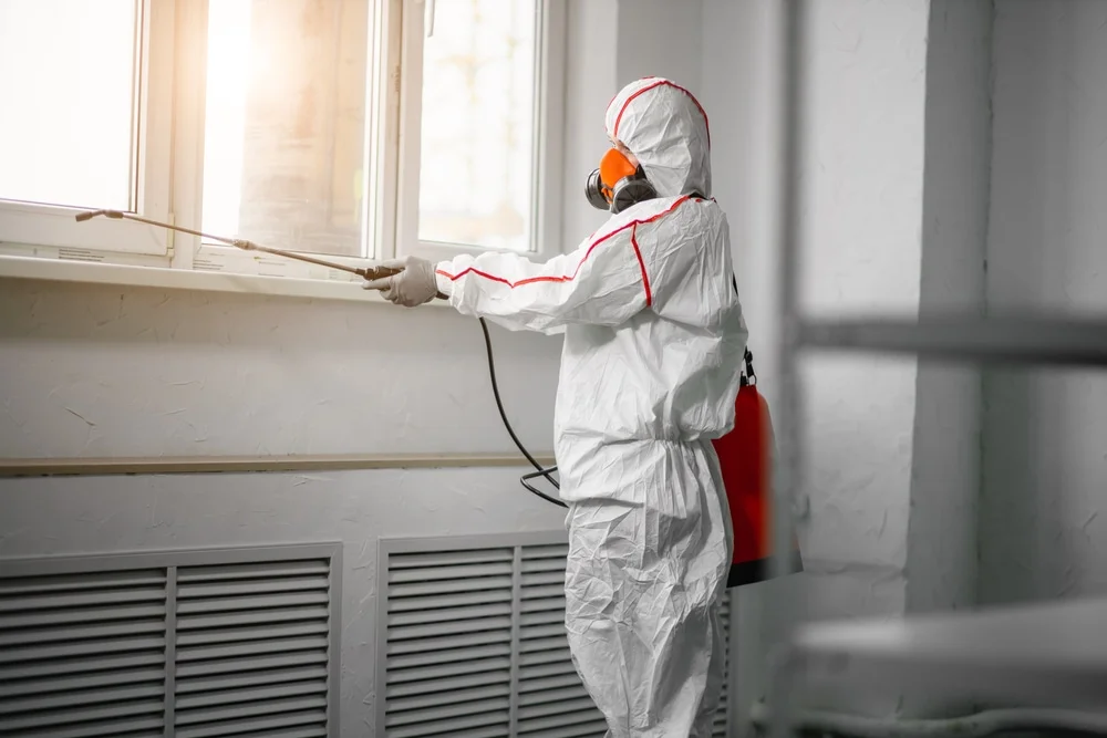 Professional mold remediation services in Lisbon, OH